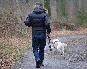 Man walking his dog